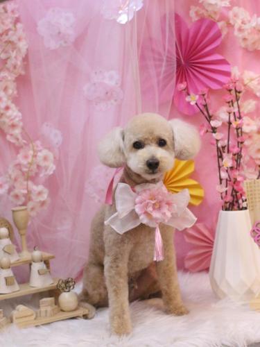 20250327モコくん